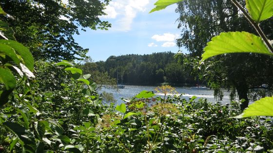 Elfviksvägen, Lidingö, Sverige ©Radio France - Annick Haumier / RF