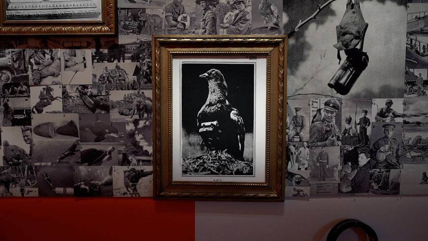 La Guerre froide a été un moment privilégié pour la mise au point de techniques d'espionnage, comme des pigeons-photographes.