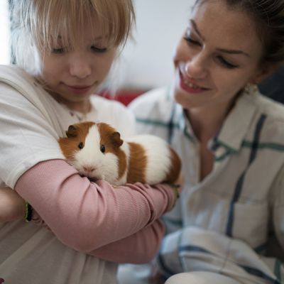 L'art que les enfants ont pour convaincre les parents d'adopter un animal de compagnie