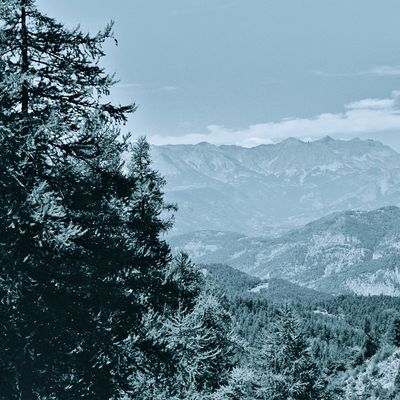 Vue sur les Alpes, monochrome, 2022, par Gilles D'ELIA