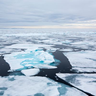 L’Arctique et l’Antarctique ont connu une vague de chaleur sans précédent avec des températures supérieures à la normale de 30°C (pôle Nord) à 40°C (pôle Sud).