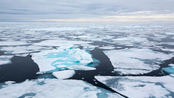 L’Arctique et l’Antarctique ont connu une vague de chaleur sans précédent avec des températures supérieures à la normale de 30°C (pôle Nord) à 40°C (pôle Sud). ©Getty - Ashley Cooper