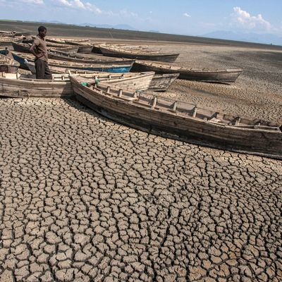 Des carcasses de bateau gisant dans le lac asséché de Chilwa au Malawi