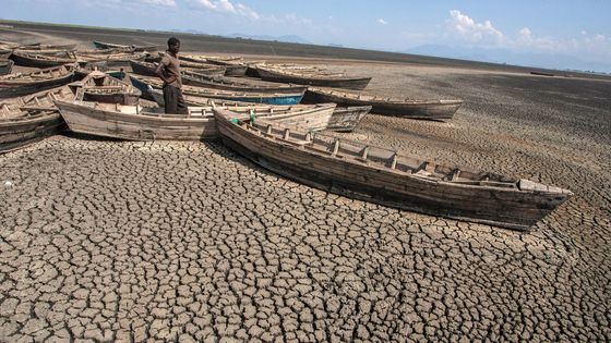 Des carcasses de bateau gisant dans le lac asséché de Chilwa au Malawi ©AFP - AMOS GUMULIRA