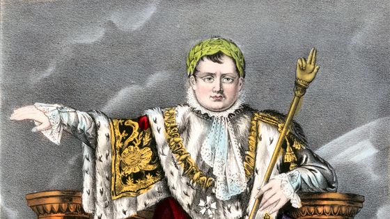 Napoléon Bonaparte (1769-1821), Empereur de France,1847. Illustration ©Getty - HUM Images/Universal Images Group