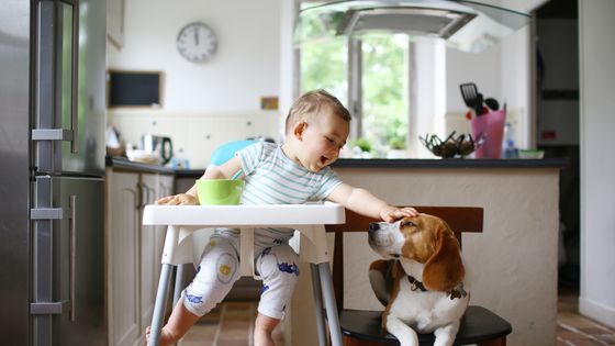 Enfant d'un an veillé par son chien dans la cuisine - Catherine Delahaye