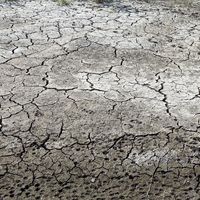 L'été 2021 a été accompagné de nombreux épisodes de sécheresse, de canicule ou d'incendies