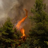 Avec le réchauffement climatique, les étés seront de plus en plus chauds.