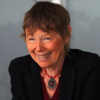 Nonna Mayer, chercheuse en sciences politiques