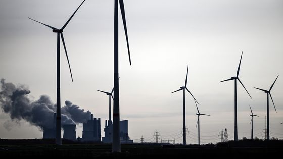Qui doit financer la transition et quel sera le coût économique de l’inaction ? ©Getty - picture alliance