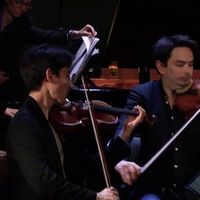 Richard Wagner : Wesendonck Lieder IV. "Schmerzen"