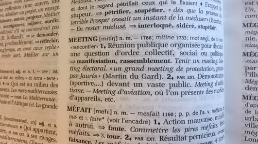 Définition du terme "Meeting" dans le dictionnaire Le Robert. - Chloë Cambreling