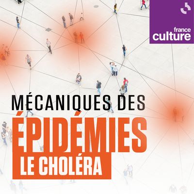 Mécaniques des épidémies, première saison : le choléra en Haïti, 2010-2019