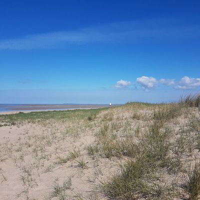 Les dunes de la baie de Bourgneuf, en Loire-Atlantique