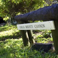 L'unique canon du Bounty redécouvert sur l'île de Pitcairn (2012)