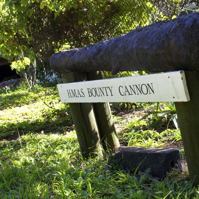 L'unique canon du Bounty redécouvert sur l'île de Pitcairn (2012)