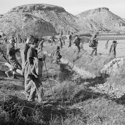21/01/1966, aviateurs américains à la recherche d'un engin nucléaire manquant à Palomares (Espagne)