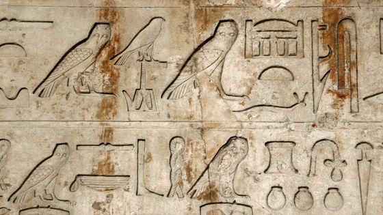 Hiéroglyphes du tombeau de Nykaiankh (Gizeh) ©Getty - PHAS