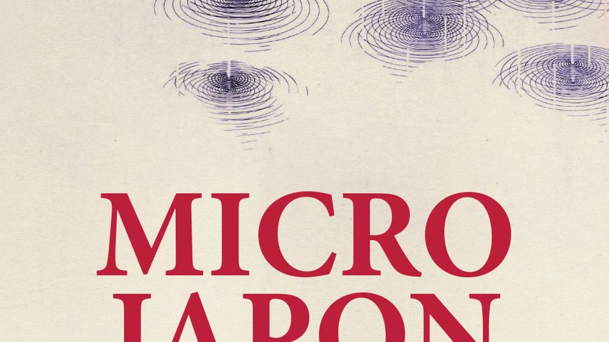 Micro Japon ( Les presses du reel )