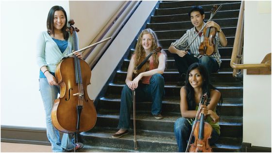 Membres d'un quatuor à cordes - © Inti St. Clair