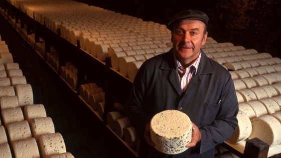 Maître-affineur dans une cave d'affinage de Roquefort, à Roquefort-sur-Soulzon, dans l'Aveyron (1990) ©Getty - © JARRY-TRIPELON / Coll. Gamma-Rapho