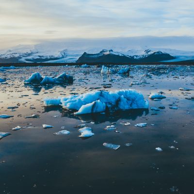 Quelle forme prend le réveil écologique dans la communauté des chercheurs ?