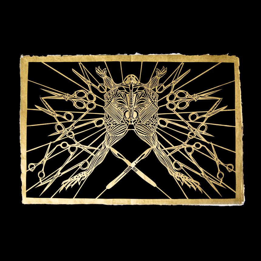 Dissection