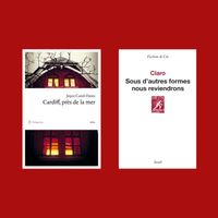 Couvertures des livres « Cardiff, près de la mer » de Joyce Carol Oates & « Sous d'autres formes nous reviendrons » de Claro