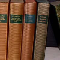 Quelques auteurs entrés dans la mythique collection Pléiade, le panthéon des auteurs.