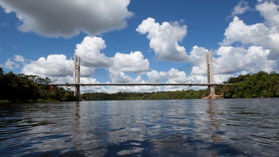 Pont de l'Oyapock ©Getty - Ronan Liétar