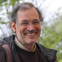 David Le Breton, professeur à l'Université de Strasbourg, membre de l'Institut universitaire de France et chercheur au laboratoire Dynamiques Européennes.