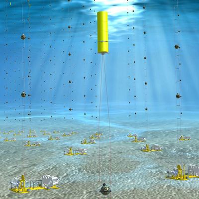 Le KM3NeT est un dispositif de détection de neutrinos d'un kilomètre cubes de volume, constitué de longues lignes de 200 m de long.