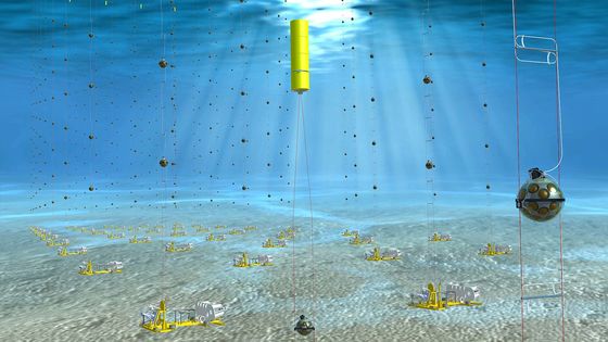 Le KM3NeT est un dispositif de détection de neutrinos d'un kilomètre cubes de volume, constitué de longues lignes de 200 m de long. - Edward Berbee, Nikhef (Creative Commons)