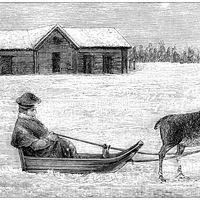 Scène de la vie en Laponie (illustration ancienne)