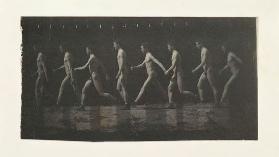 photographie de la roue de Marey d'un modèle non identifié, 1884 - Thomas Eakins Heritage/ArtHeritage Images via GettyImages