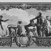 Les Primates, dans le livre: Illustrations de Histoire naturelle générale et particulière avec la Description du Cabinet du Roy Tome XIV, 1766