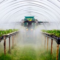 Pesticides et santé : pourquoi les données scientifiques sont-elles ignorées ?
