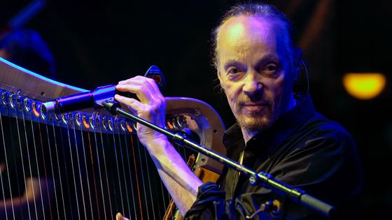 Alan Stivell en concert à Sarrebruck - Becker & Bredel/ullstein bild via Getty Images