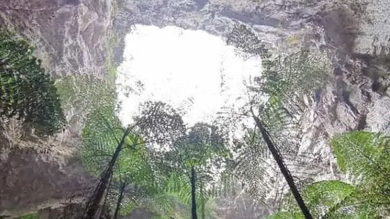 Une grotte géante dans le Guangxi en Chine - twitter