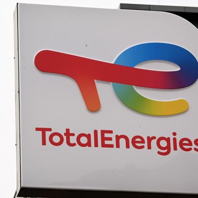 Beaucoup de bruit pour rien ? Des actionnaires contestataires à la récente assemblée générale de TotalEnergies.