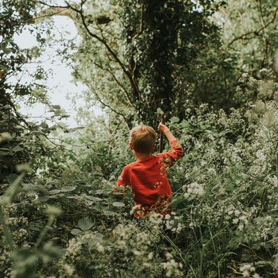 Rencontre musicale avec les animaux de la foret
