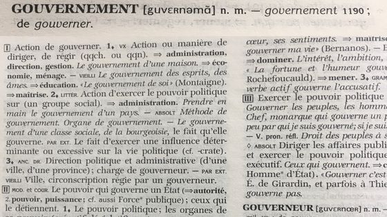 Définition du terme "gouvernement" dans le dictionnaire Le Robert. - Juliette Mouëllic