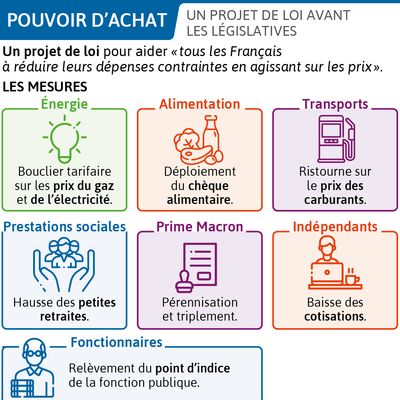 Un projet de loi sur le pouvoir d'achat avant les législatives