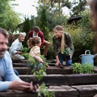 Travail collectif au potager dans une ferme communautaire