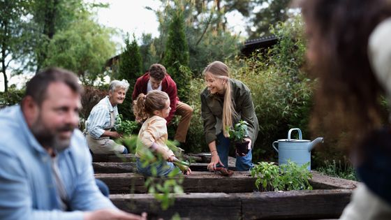 Travail collectif au potager dans une ferme communautaire ©Getty - Halfpoint Images