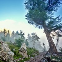 Sur le sentier menant à la Vallée des Merveilles