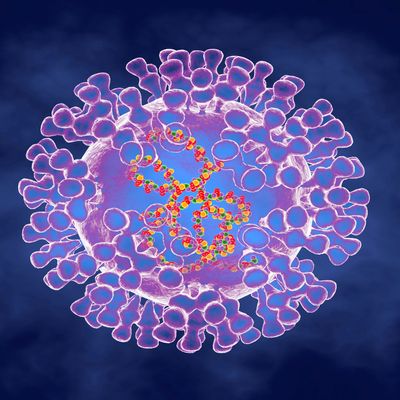illustration d'un Pox virus