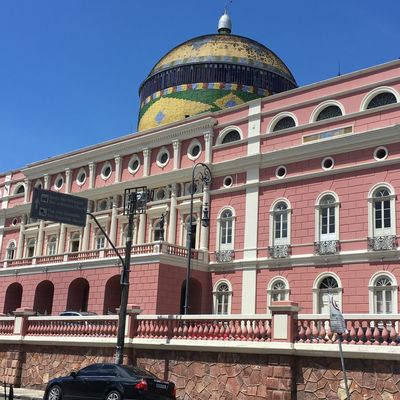 Le Teatro Amazonas à Manaus, au Brésil