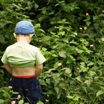 Le pipi, un bon engrais pour la nature