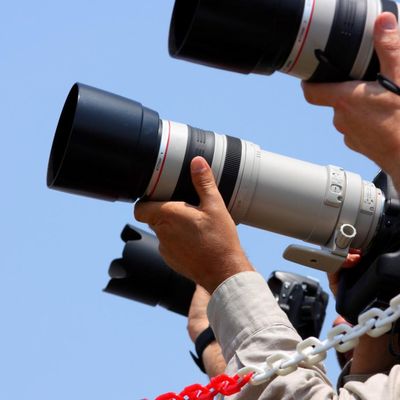 Cannes, son festival, sa Croisette, ses photographes à l'affût des stars...et les chansons qui célèbrent ou caviardent le plus grand rendez-vous du cinéma au monde.